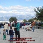 DSC08473 (Αντιγραφή)